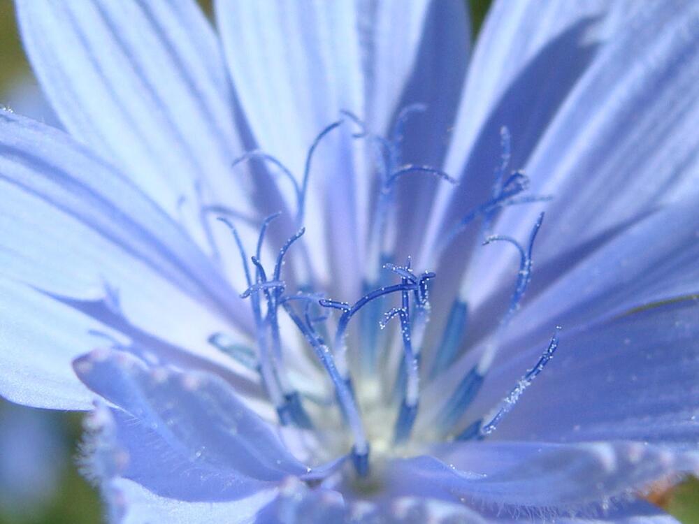 Фотография автора Павел Попов