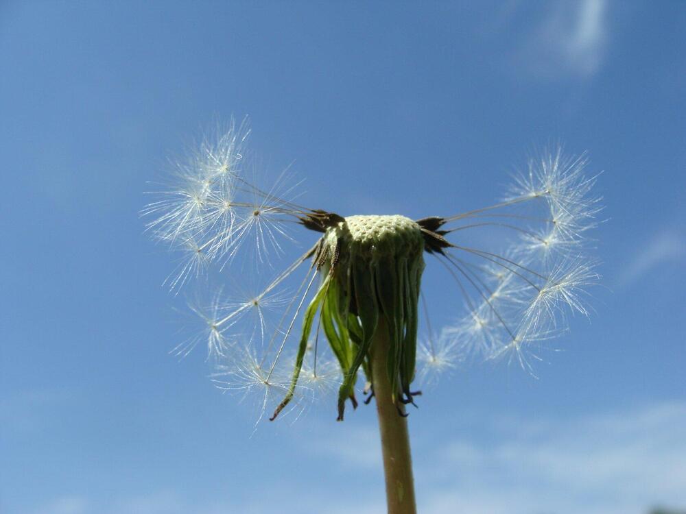 Фотография автора Павел Попов