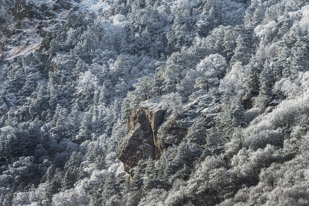 Серебряные копи