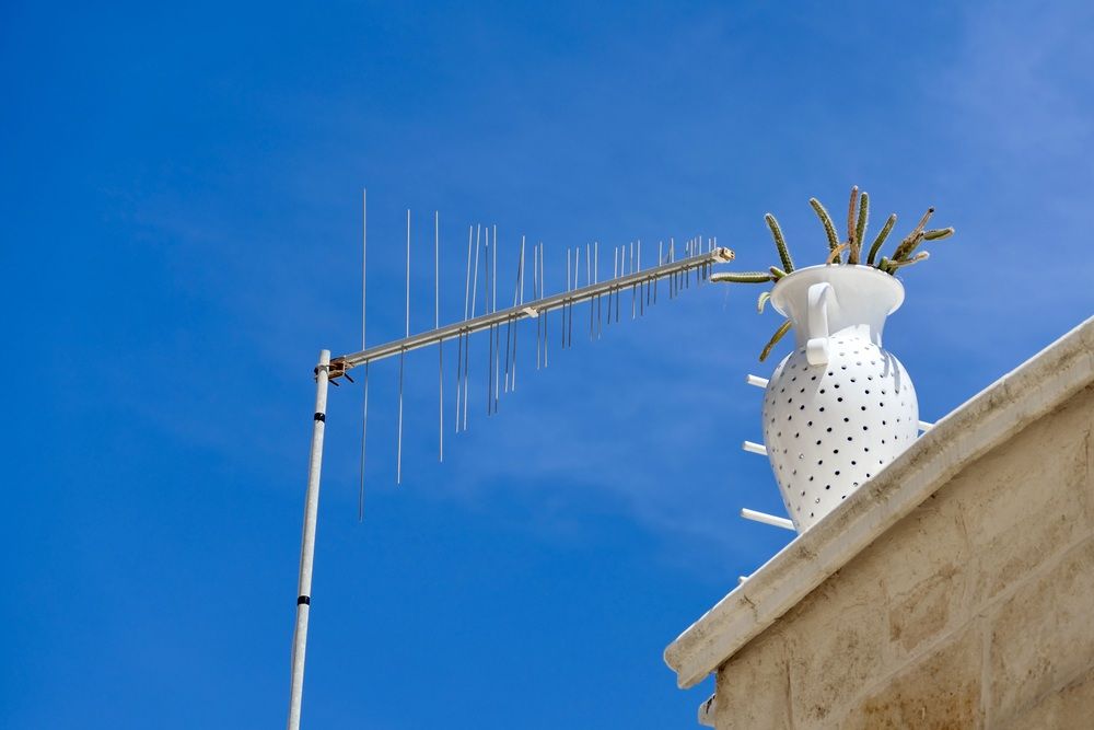 На фоне летнего неба