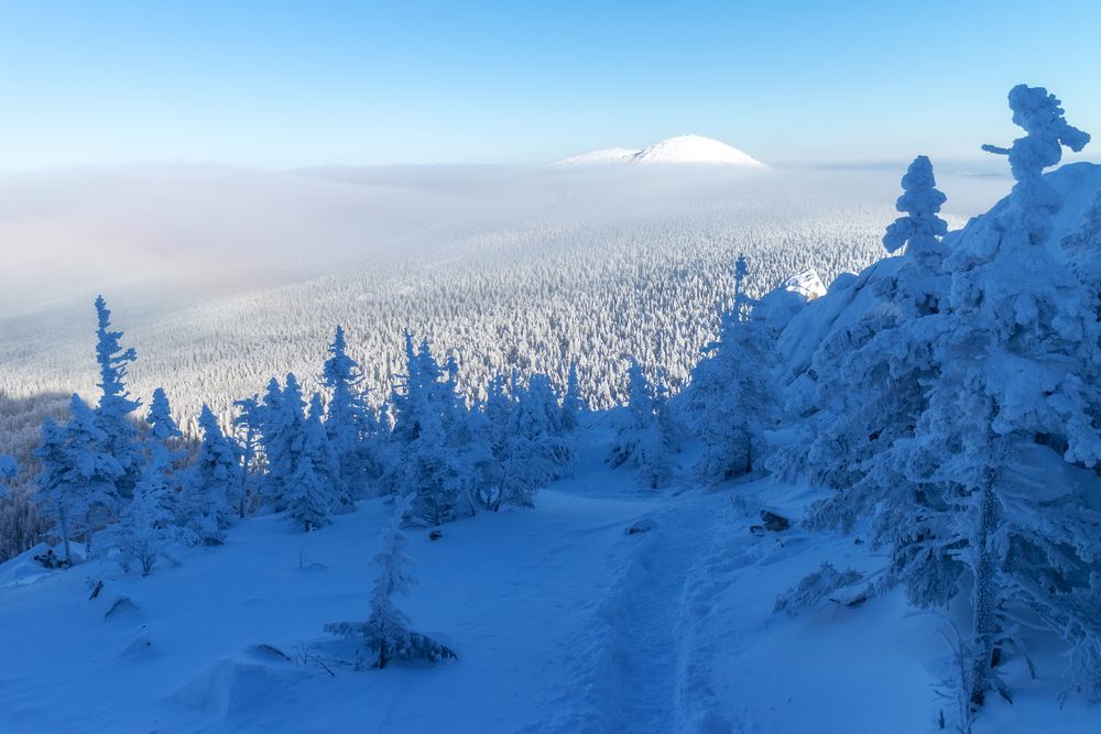 Photograph by Никита Костылёв