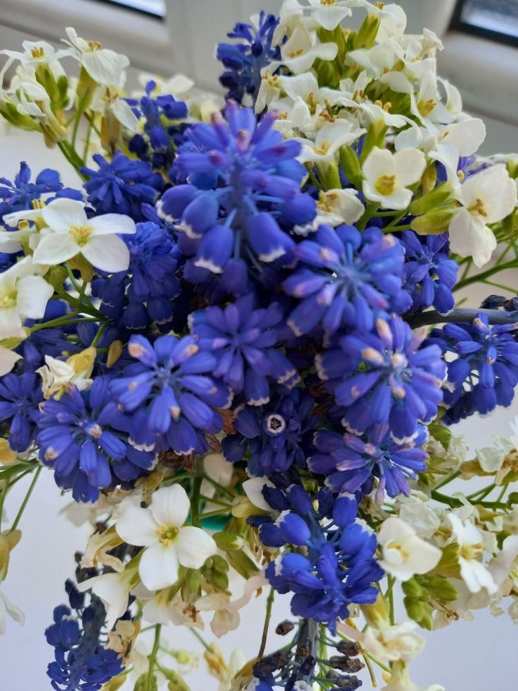 Photograph by Ольга Юрченко