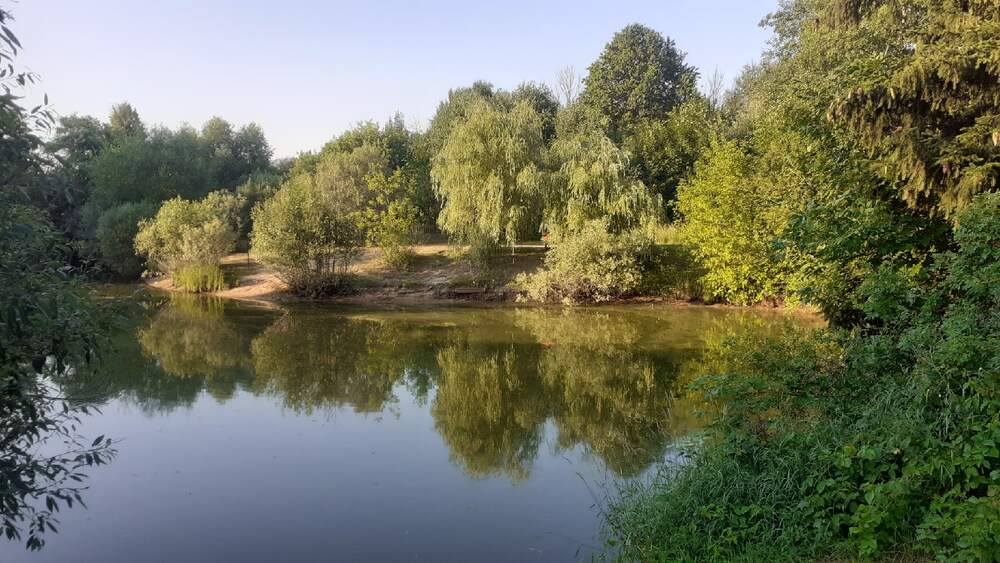 Photograph by Елена Лещева