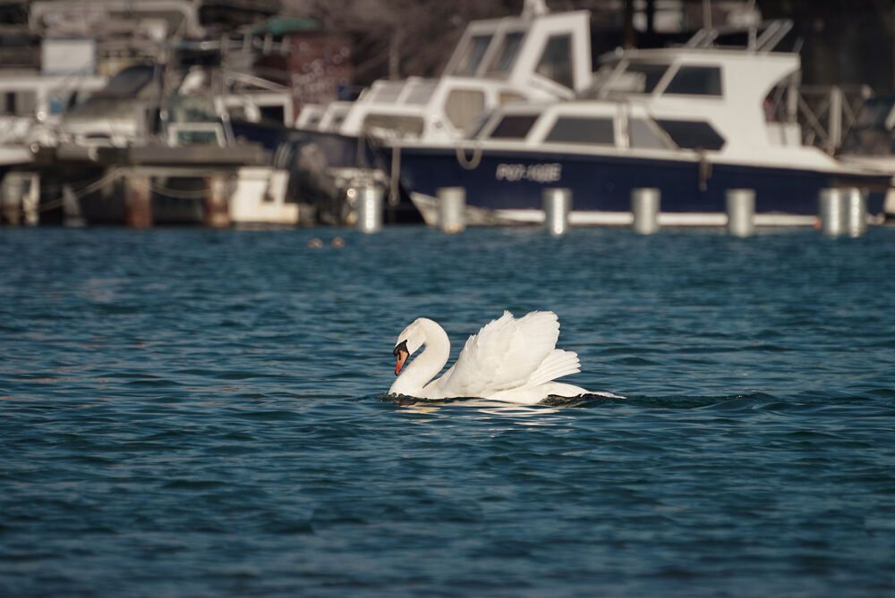 Photograph by Константин Громов
