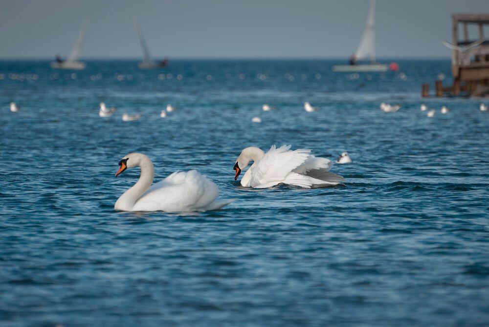 Photograph by Константин Громов