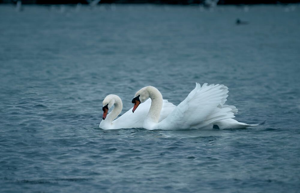 Photograph by Константин Громов