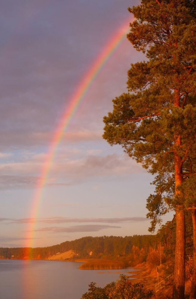 Фотография автора Elvijs Kalnins