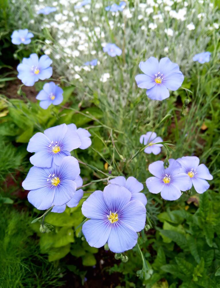 Photograph by Татьяна Пальчикова