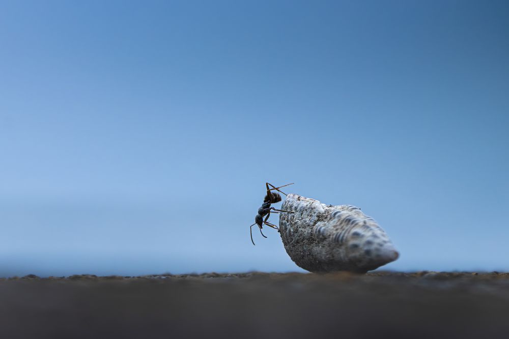 Photograph by KOHAGI