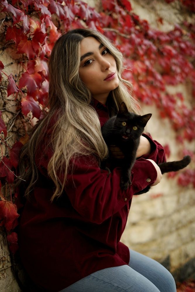 Photograph by Alireza seyd