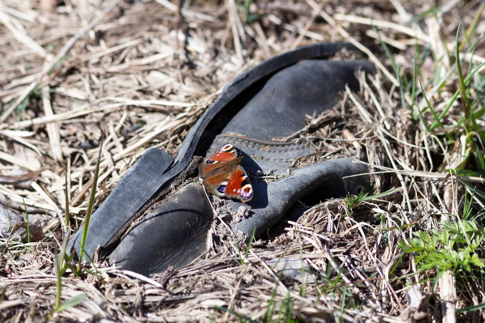 Photograph by Александр Коровин