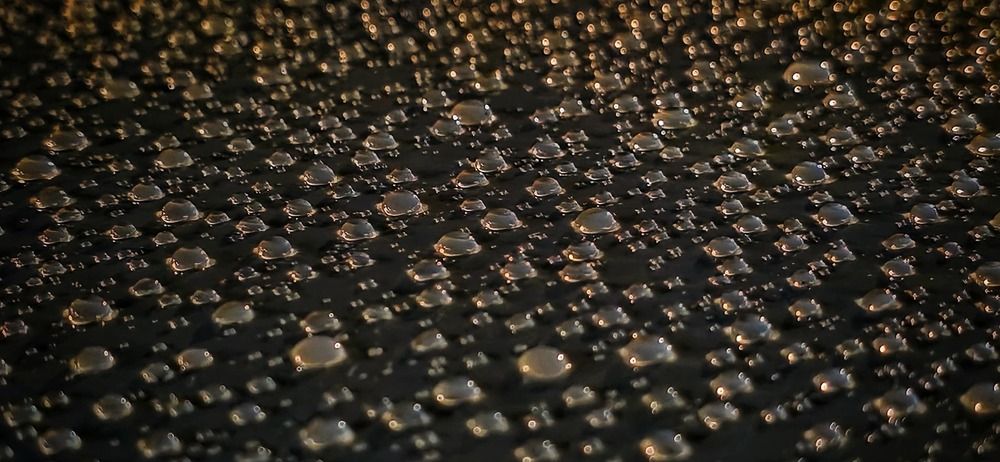 Фотография автора Bryan Lee