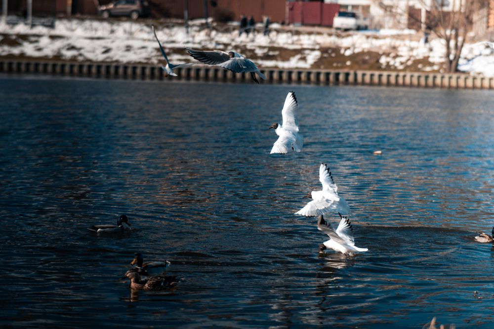 Photograph by Максим Белоус