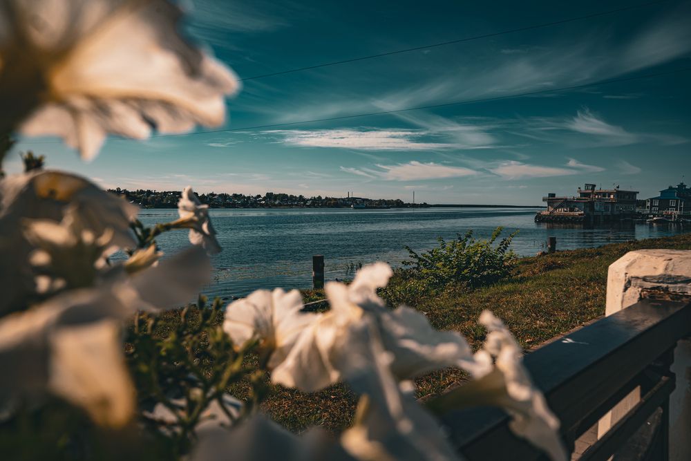 Photograph by Максим Белоус