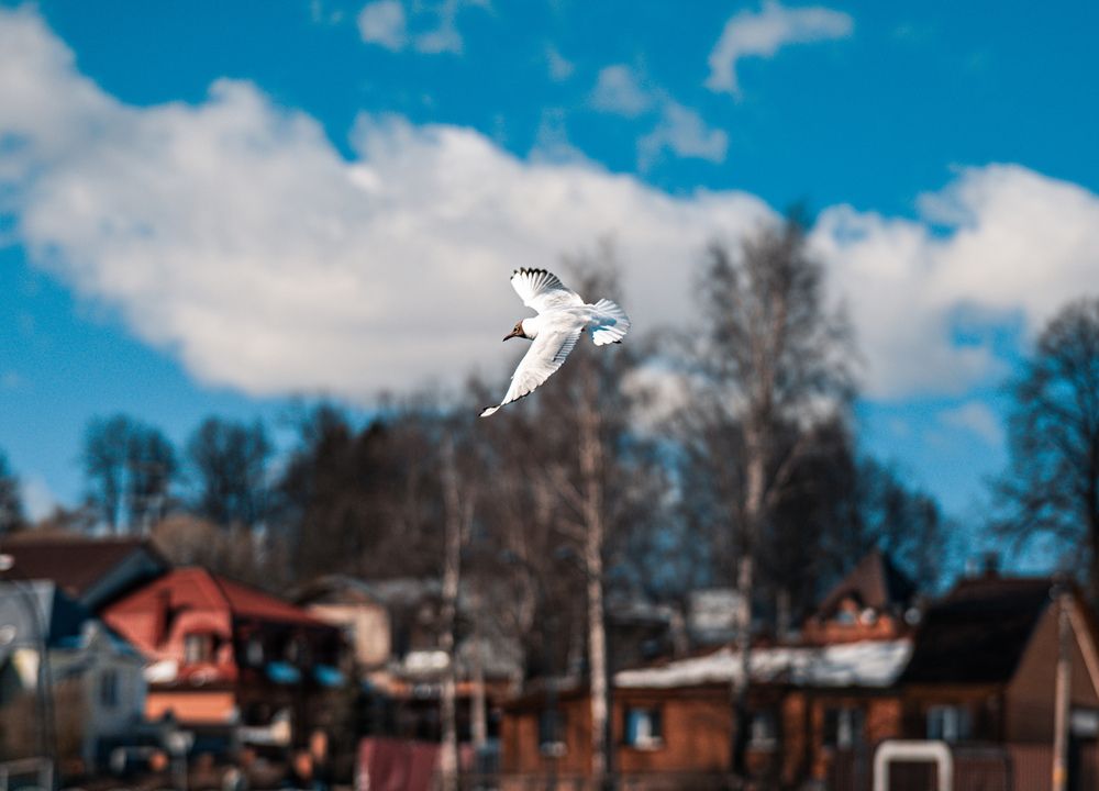 Photograph by Максим Белоус