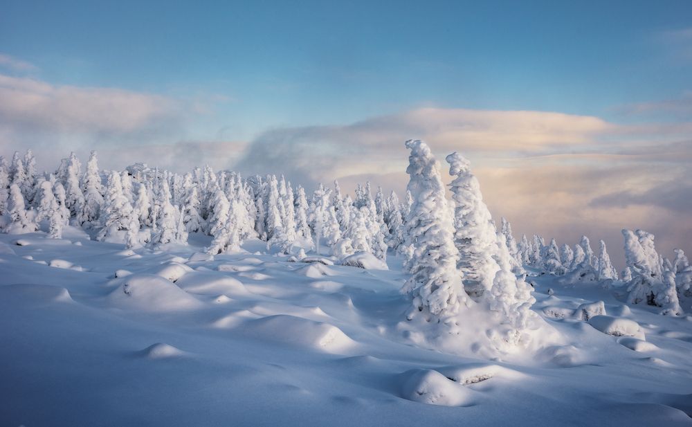 Photograph by Елена Соколова