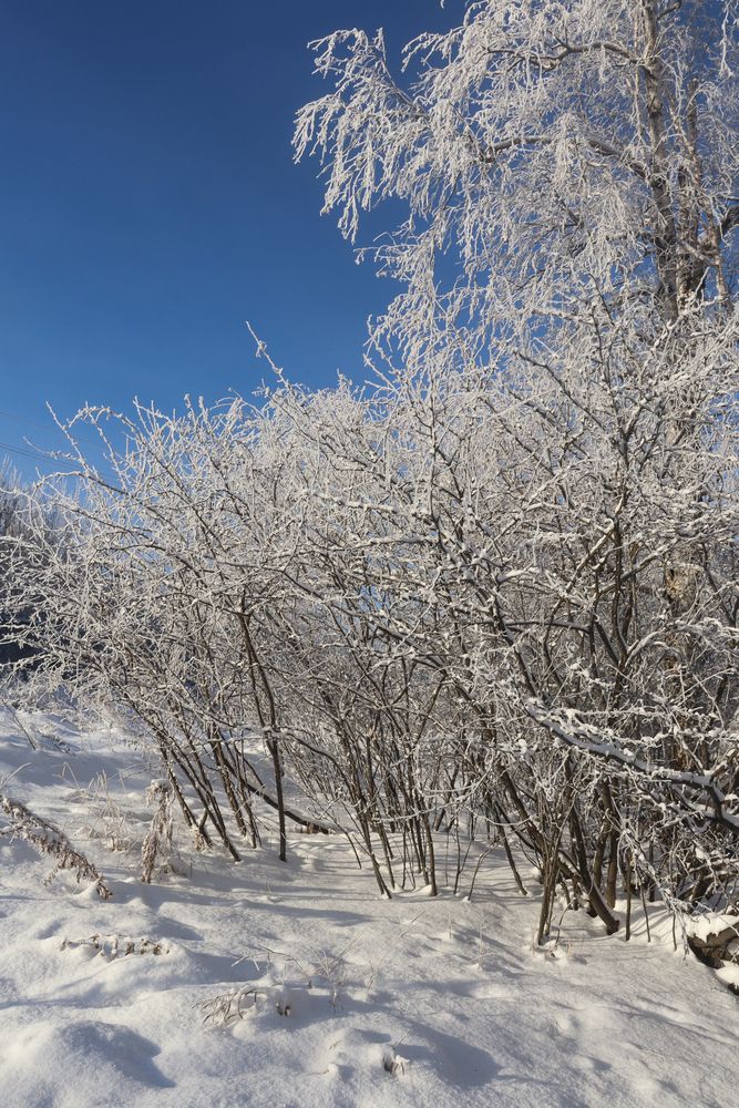 Photograph by Марина Тимонова