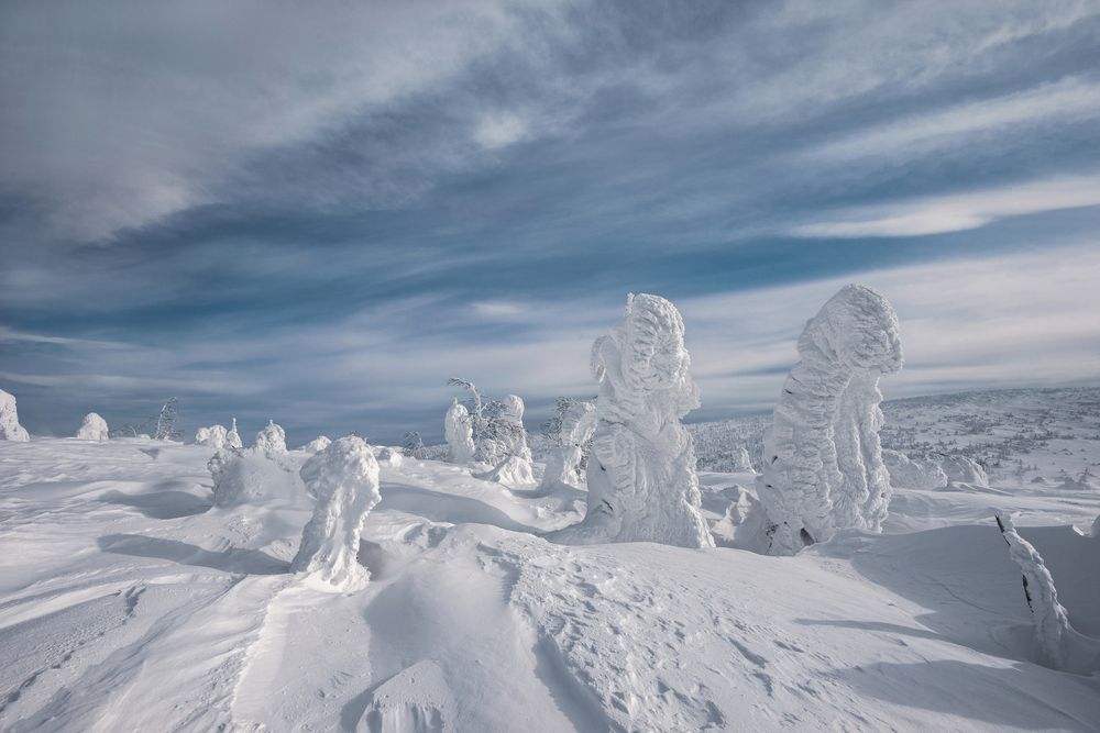 Photograph by Елена Соколова
