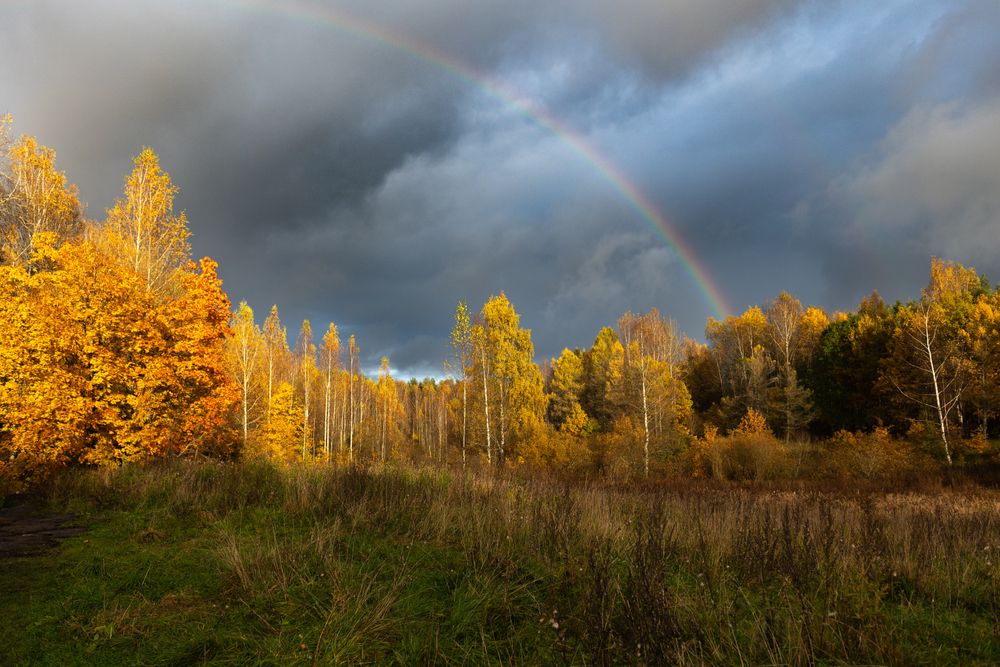 Photograph by Сергей Калинников