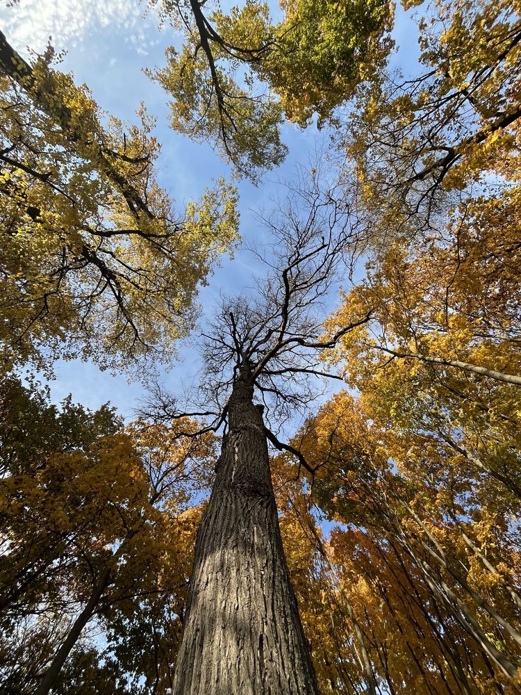 Photograph by Евгения Белякова