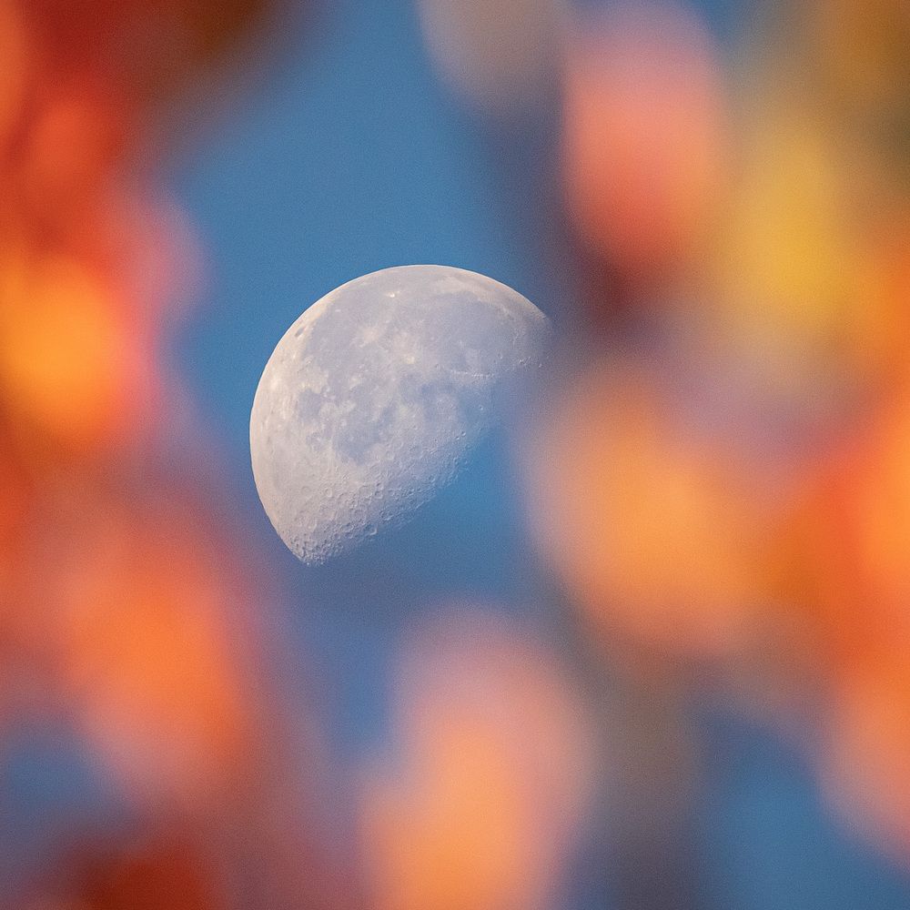 Фотография автора Дмитрий Маккеев