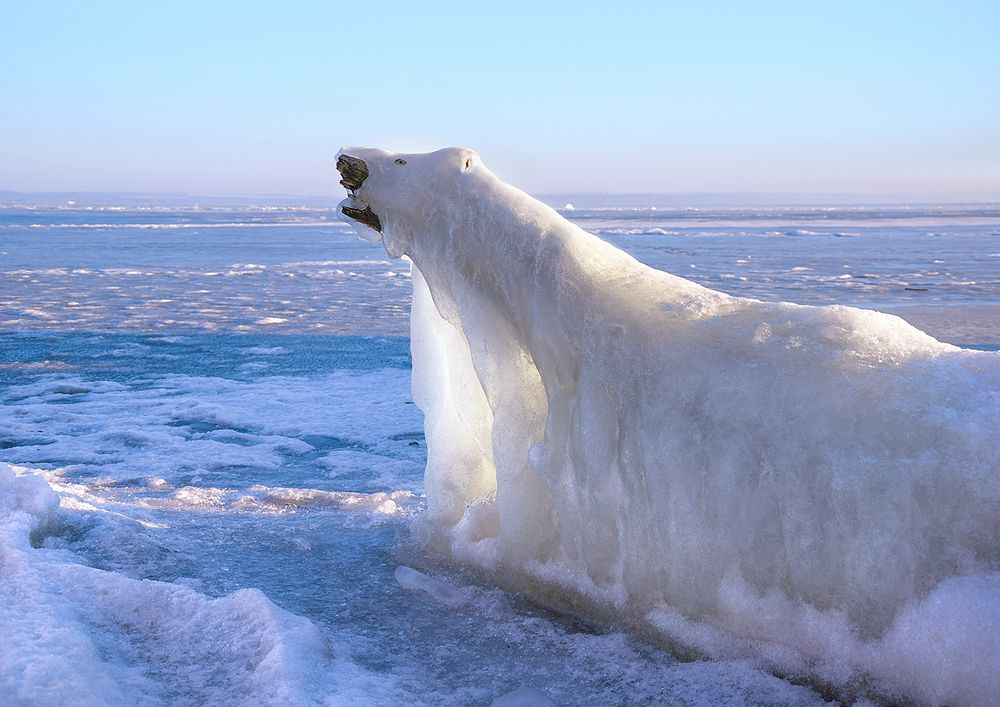 Белый медведь на Днепре...