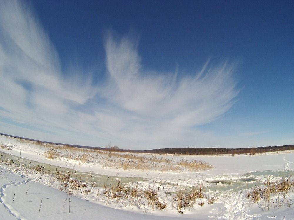 Photograph by Николай Дмитриев