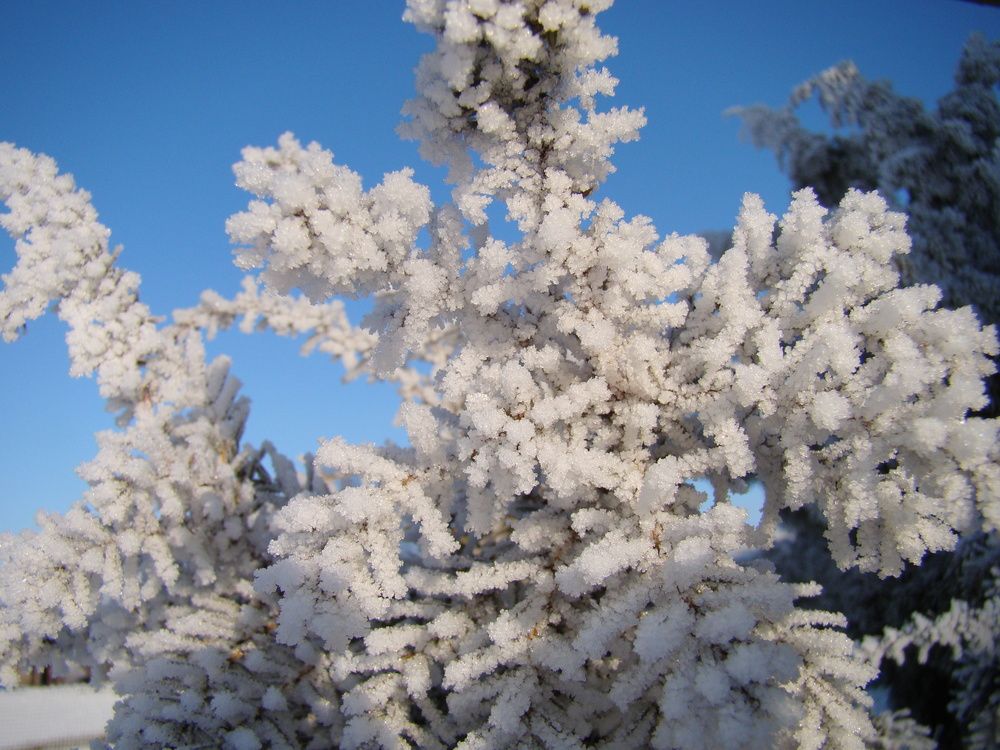 Photograph by Николай Дмитриев