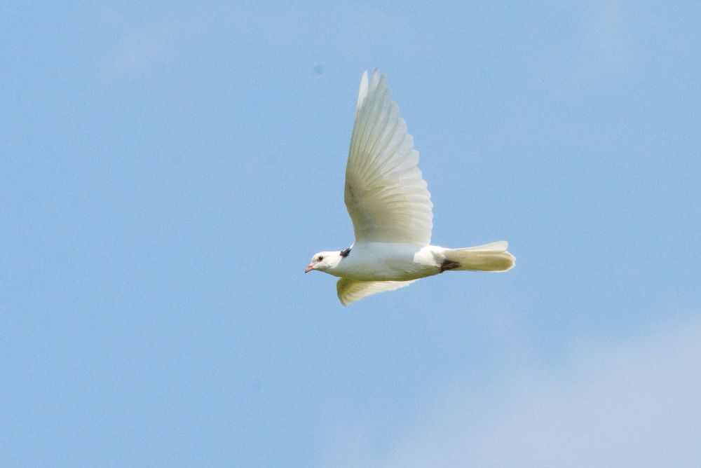 Photograph by Ольга Якубова