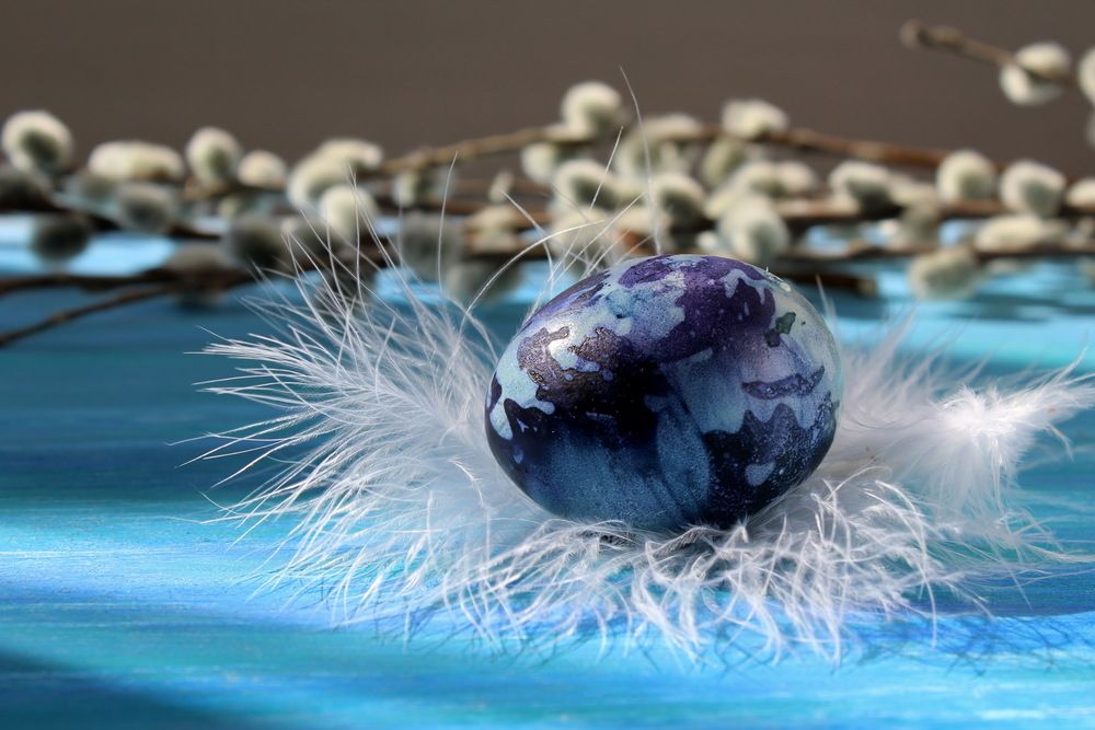 Photograph by Сироткина Нина