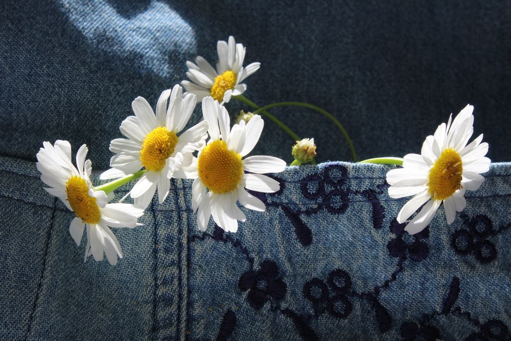 Photograph by Сироткина Нина