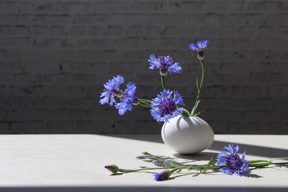 Photograph by Сироткина Нина