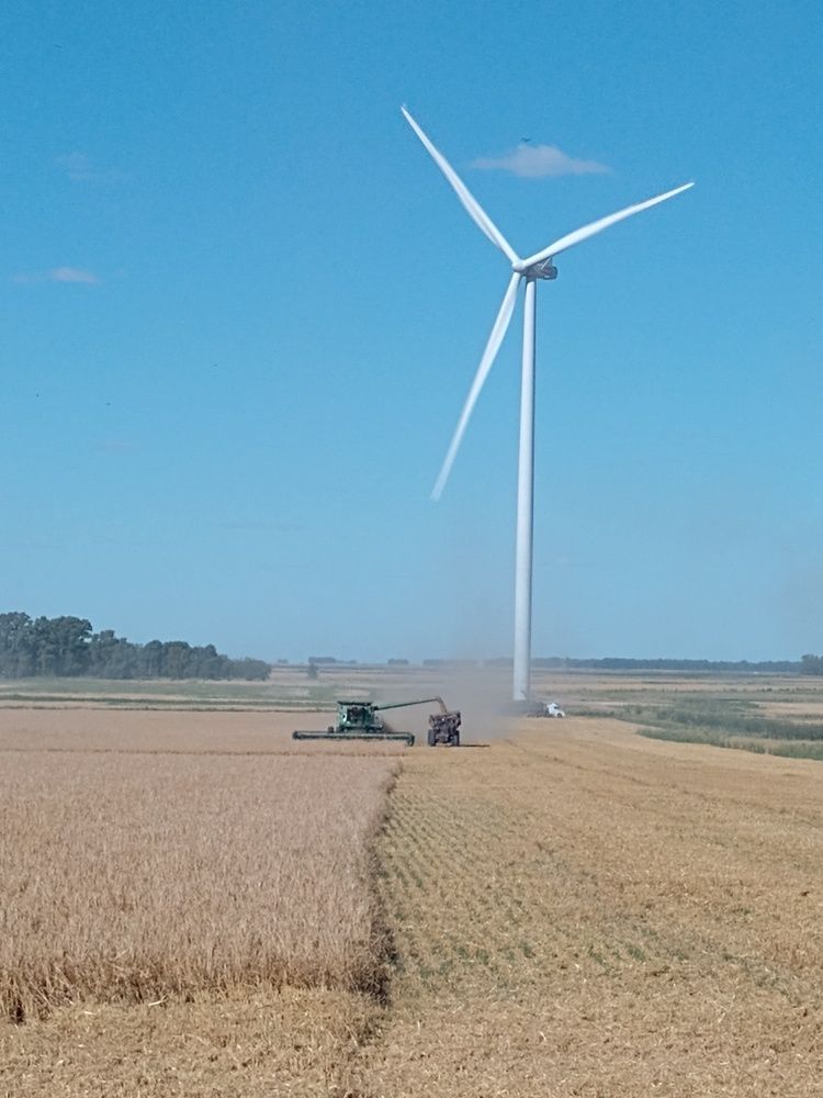 Photo #12962237