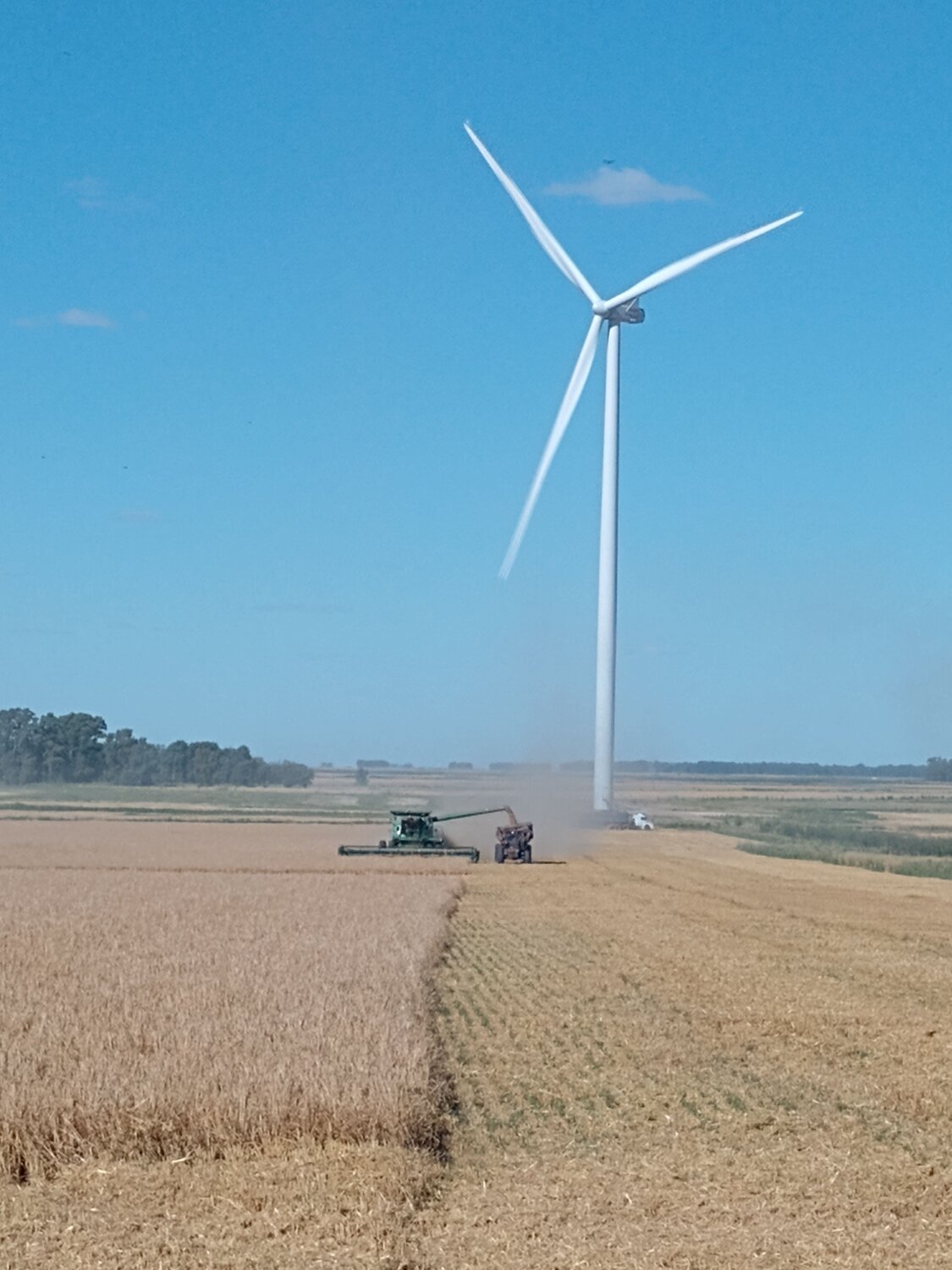 Photo #12962237