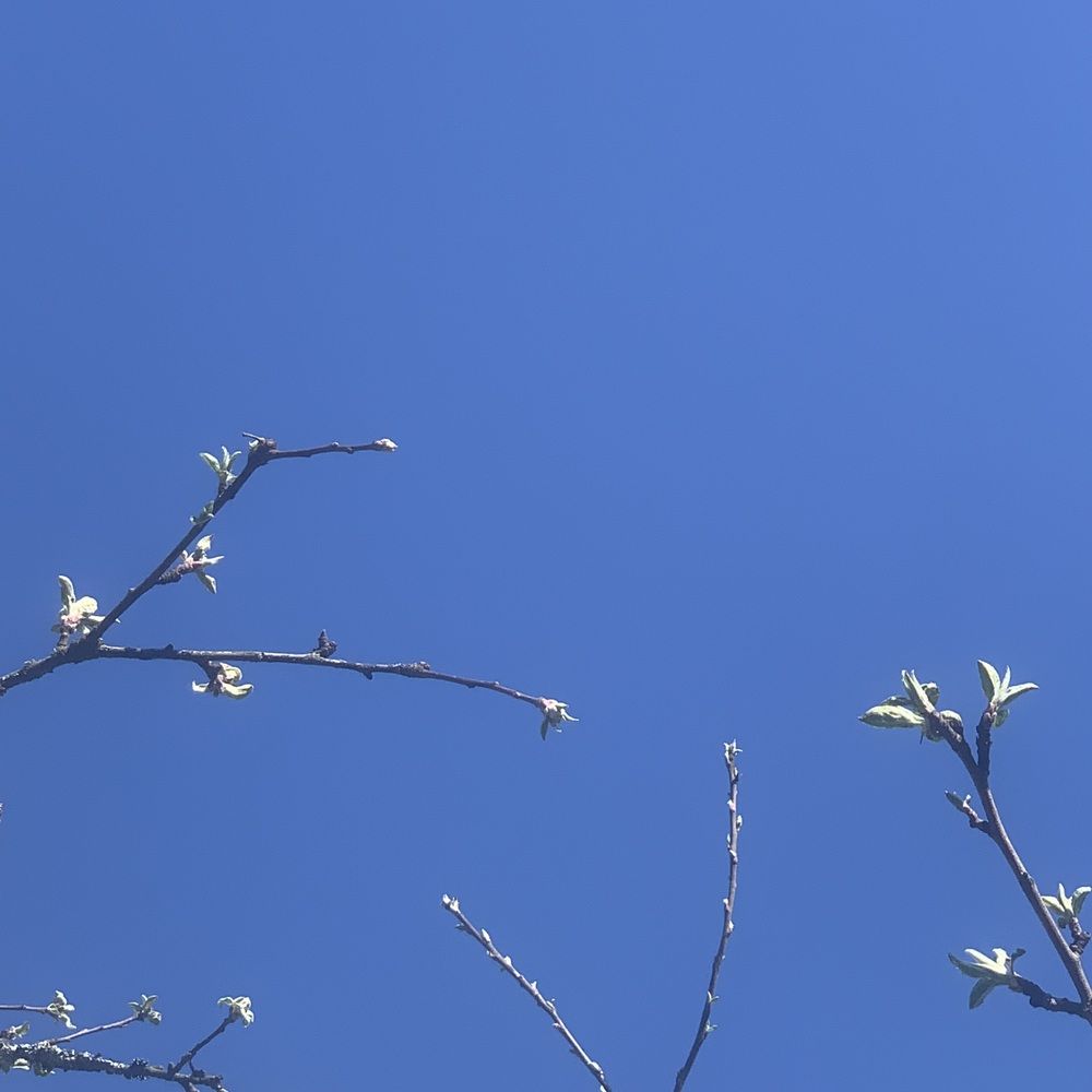 Фотография автора Василий Здоровецкий
