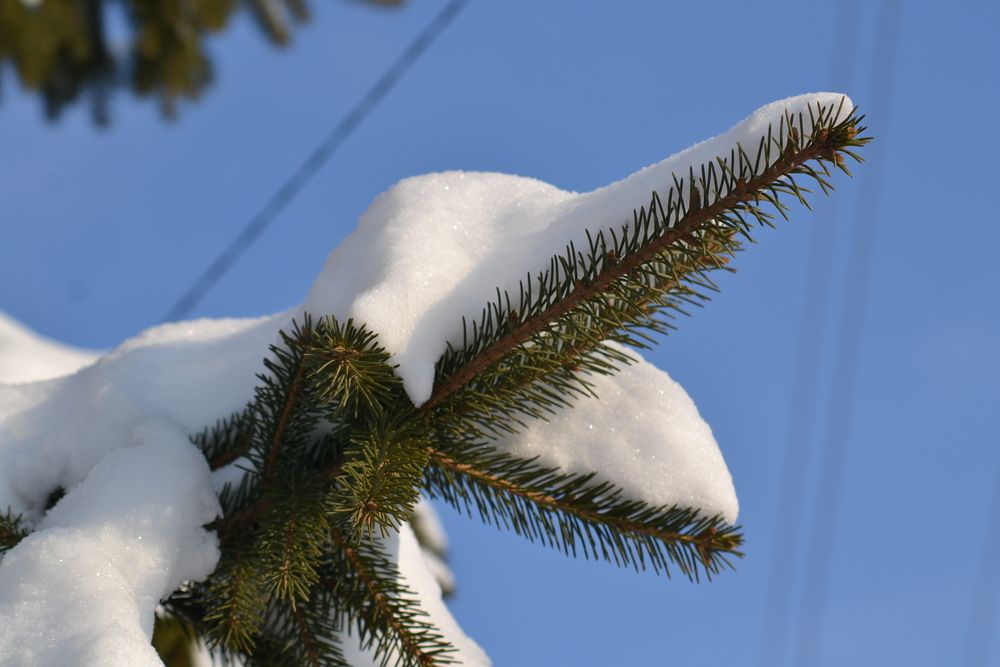 Photograph by Николай Дмитриев