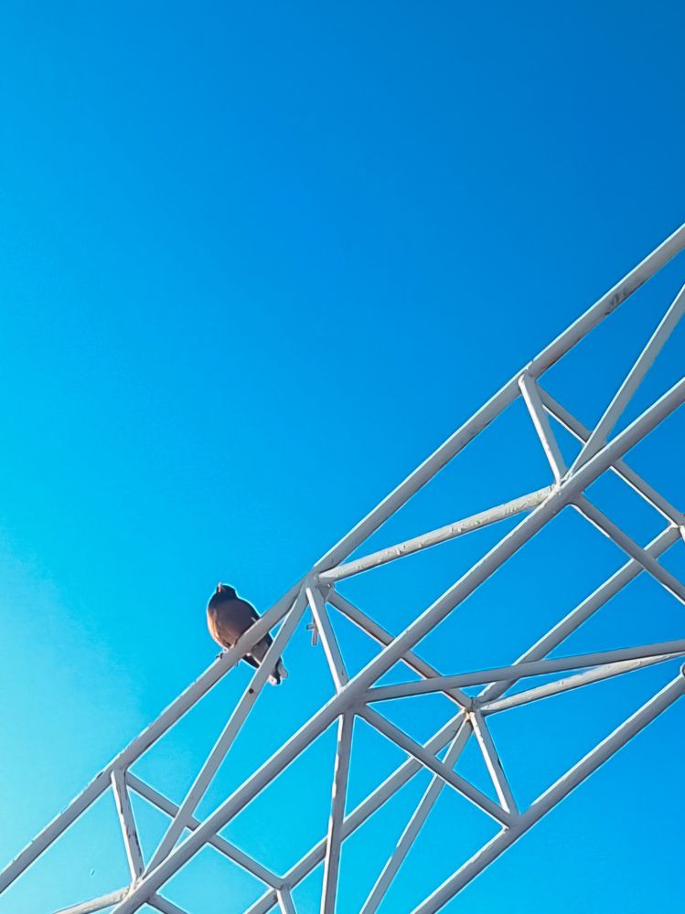 Фотография автора Elena Safarova