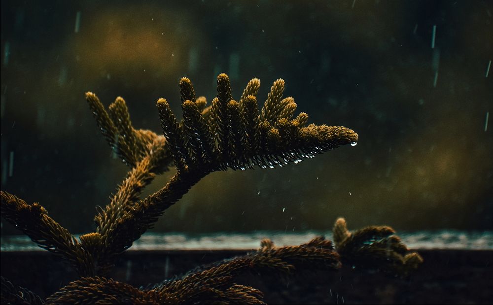 Tears of Mother Nature