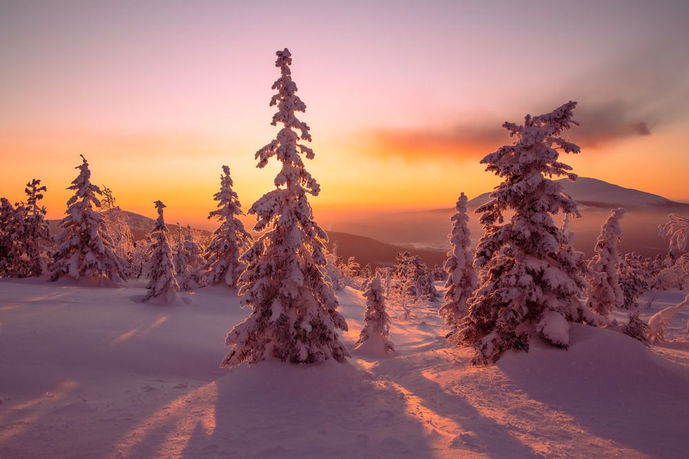 Photograph by Алексей Путилов