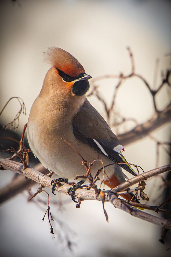 Photograph by Александр Вандеров