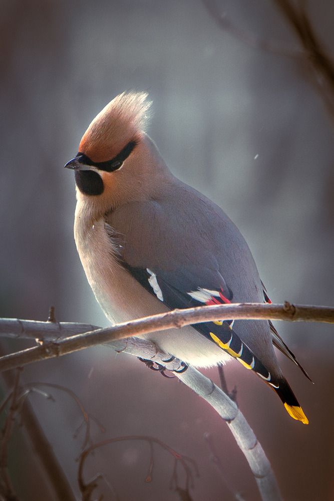 Photograph by Александр Вандеров