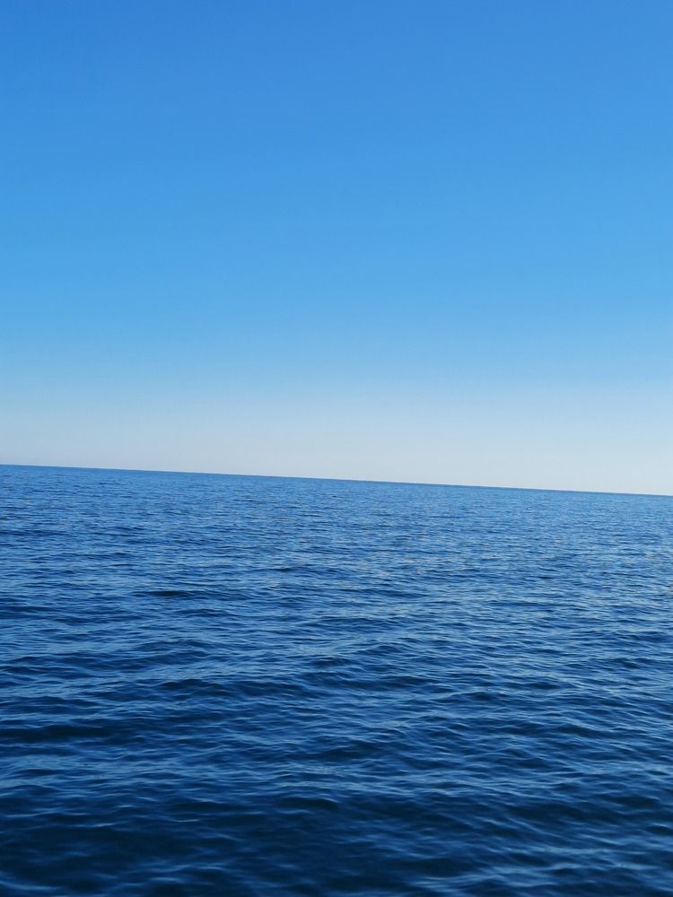 Photograph by Елена