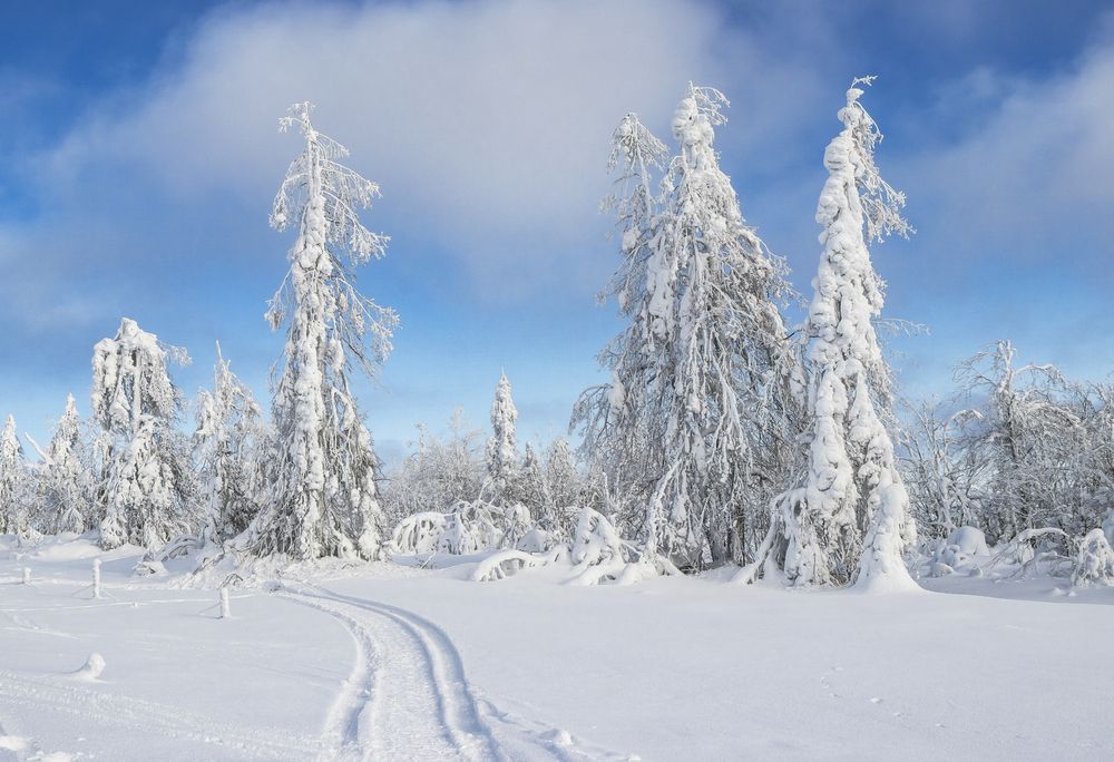 Морозный денек