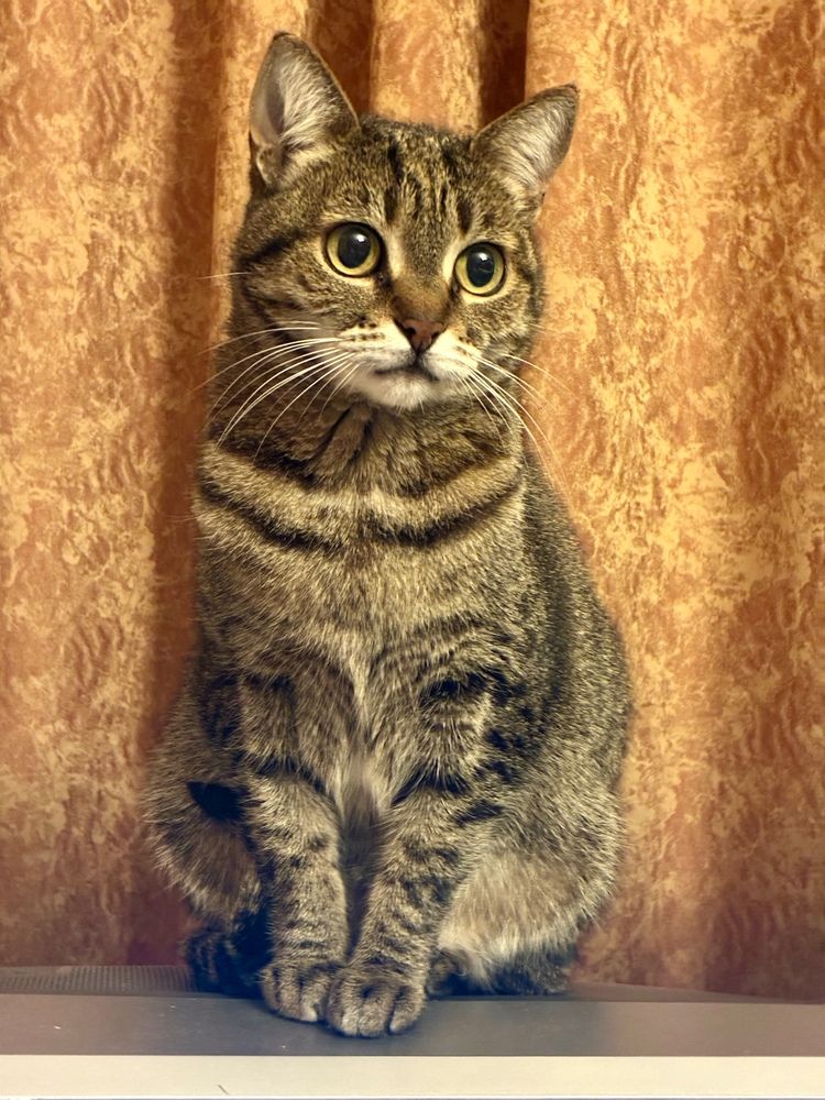 Photograph by Надежда Ткаченко