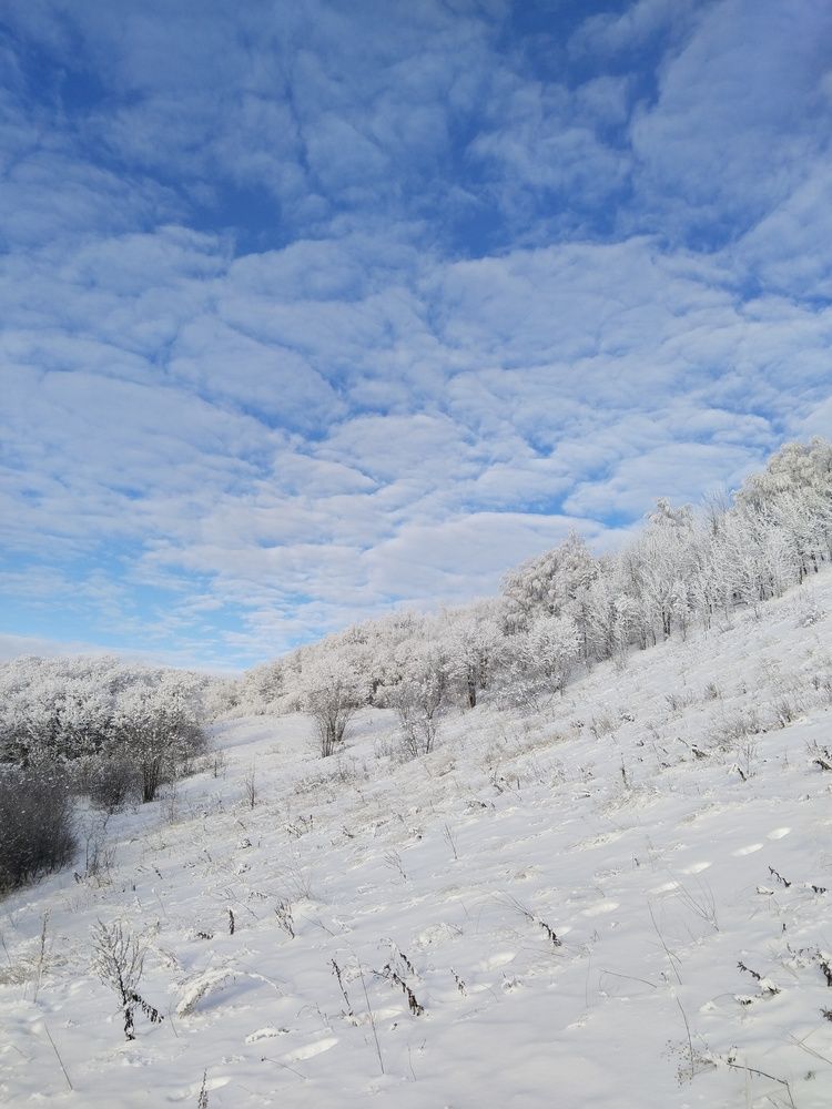 Photograph by Ольга Чернова