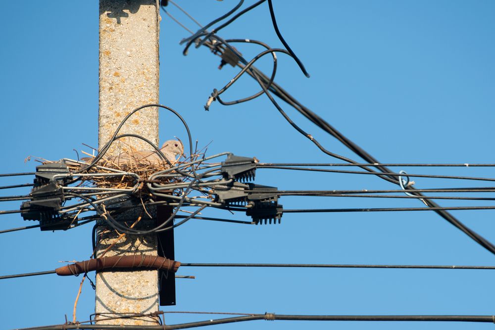 Photograph by Ирэна Ершова