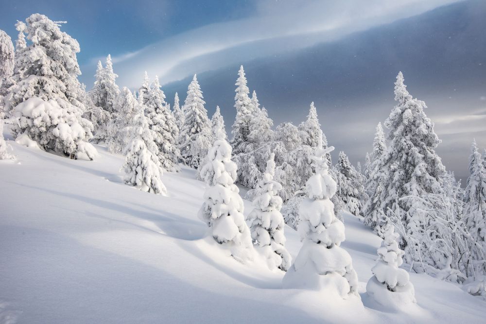 Photograph by Елена Соколова