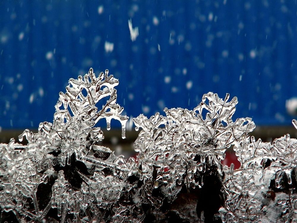 Photograph by Савоцкий Роман