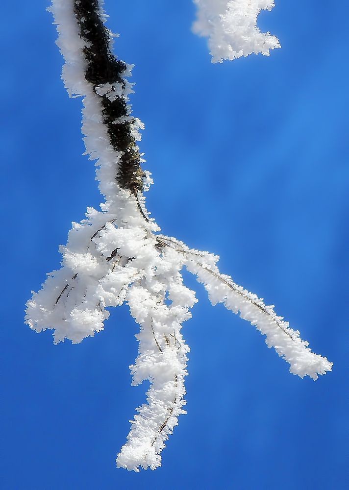 Photograph by Савоцкий Роман