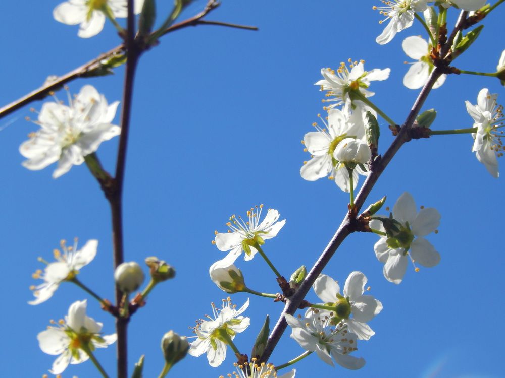 Photograph by Кирилл Елесин